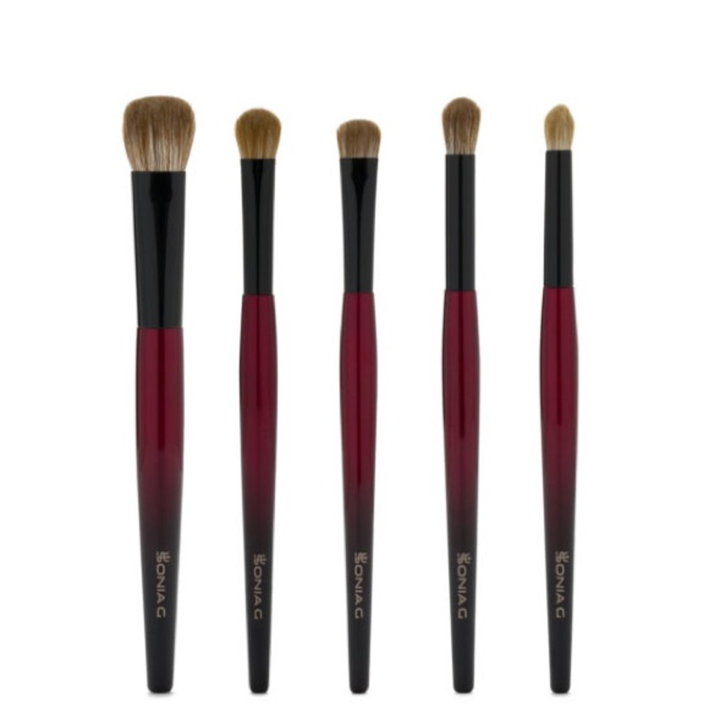Sonia G Fusion Eye Makeup Brush Set